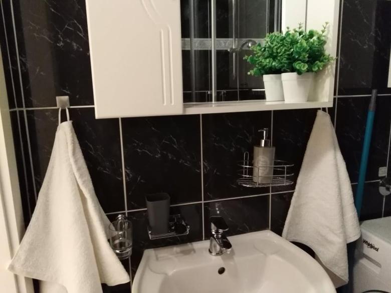 Studio Apartman Tonko - S Balkonom Zaton  Esterno foto